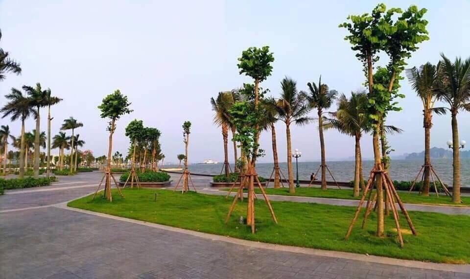 Sonny Homestay 2 -Can Lien Ke 5Pn -Khu Greenbayvillage - Duong Hoang Quoc Viet -Trung Tam Kdl Bai Chay Ha Long Buitenkant foto